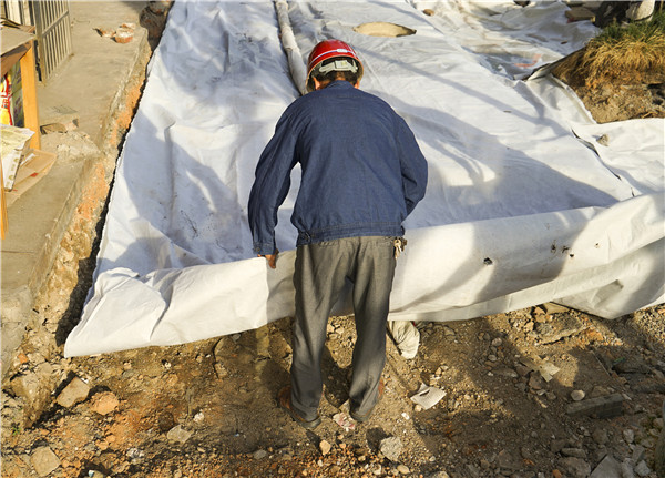 1666947982404186.jpg 2.jpg